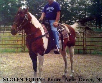 STOLEN EQUINE Prince, Near Dover, NC, 28526